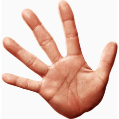 清新手掌演绎模版