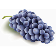 农副产品之新鲜葡萄
