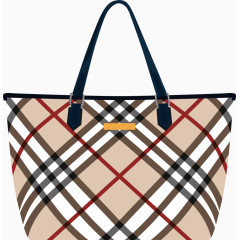 矢量女士格纹包