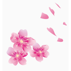 樱花花瓣元素