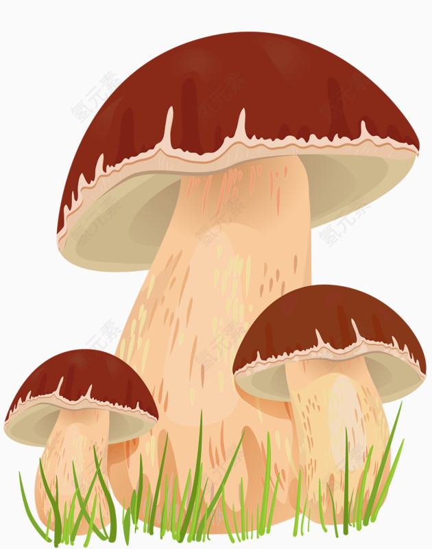 好大蘑菇