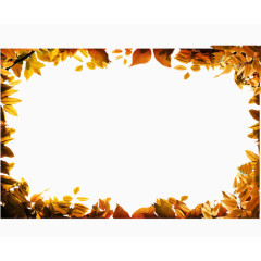 金色叶子视频框