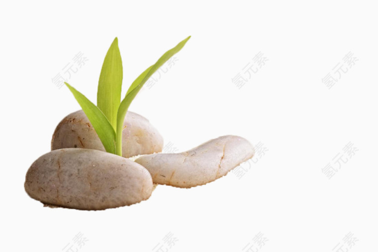 按摩石
