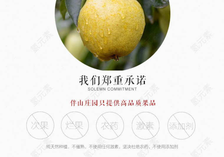 水果梨子详情页介绍图片