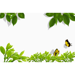 小清新绿色植物