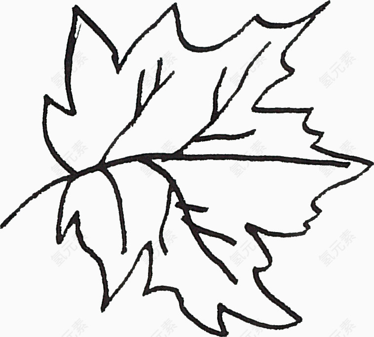 线描树叶