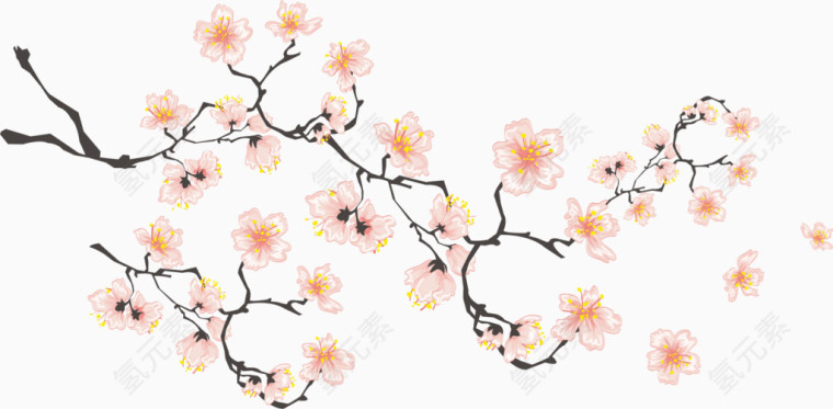 手绘樱花