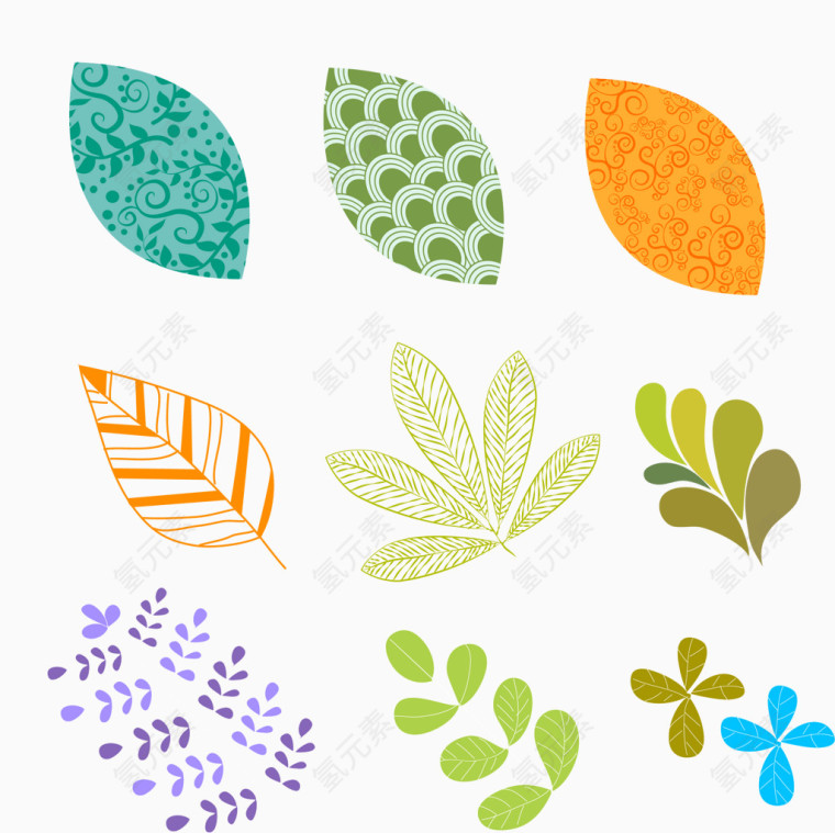 9种树叶插图矢量图