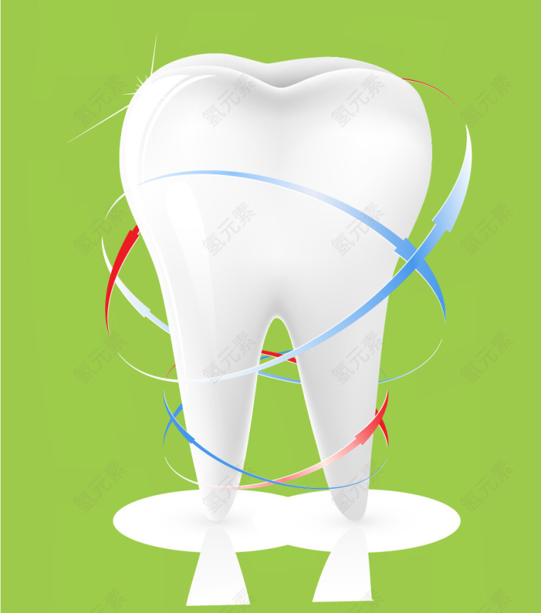 矢量绿色牙齿