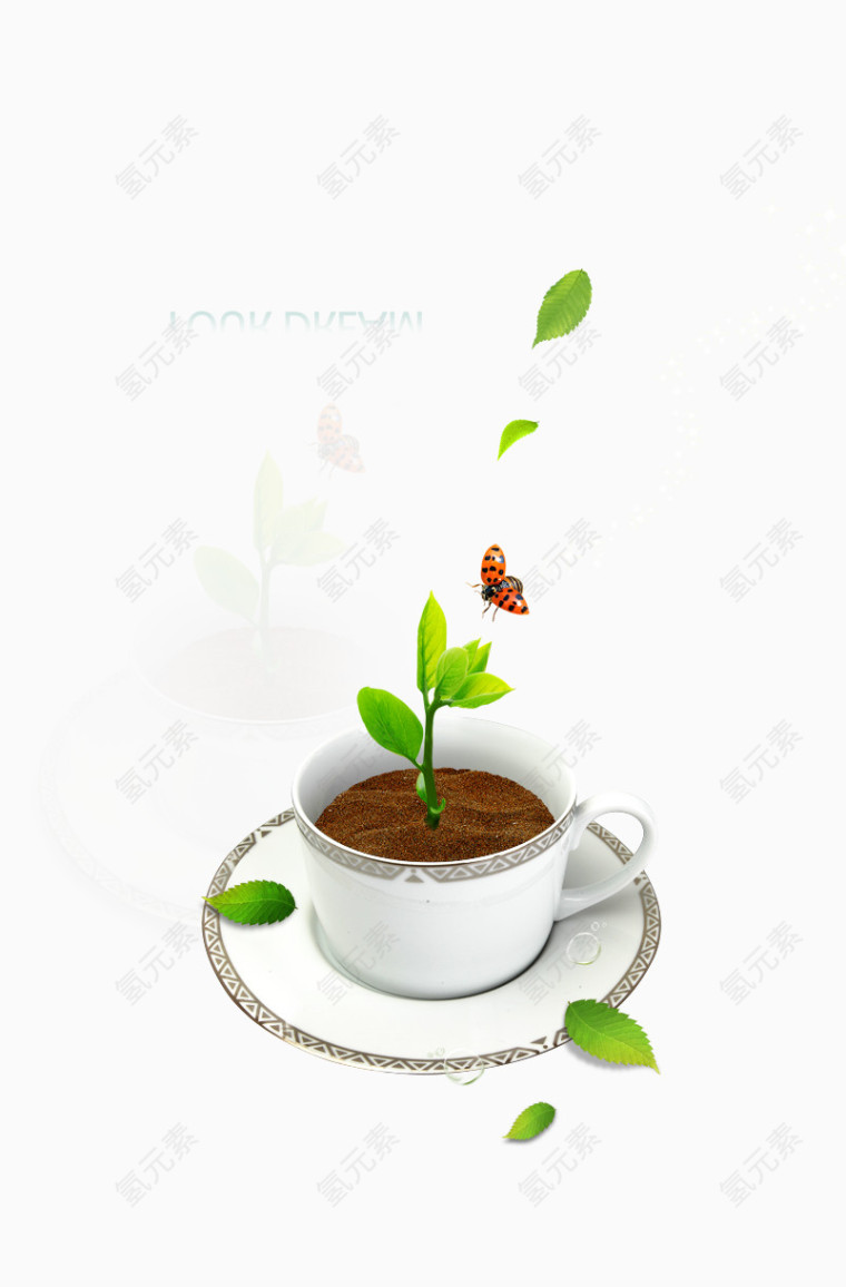 杯子里的希望