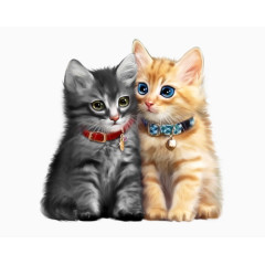 一对恋爱中的猫咪