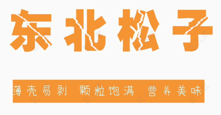 东北松子