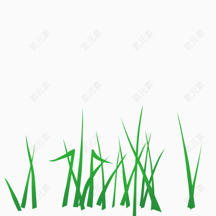 绿色小草