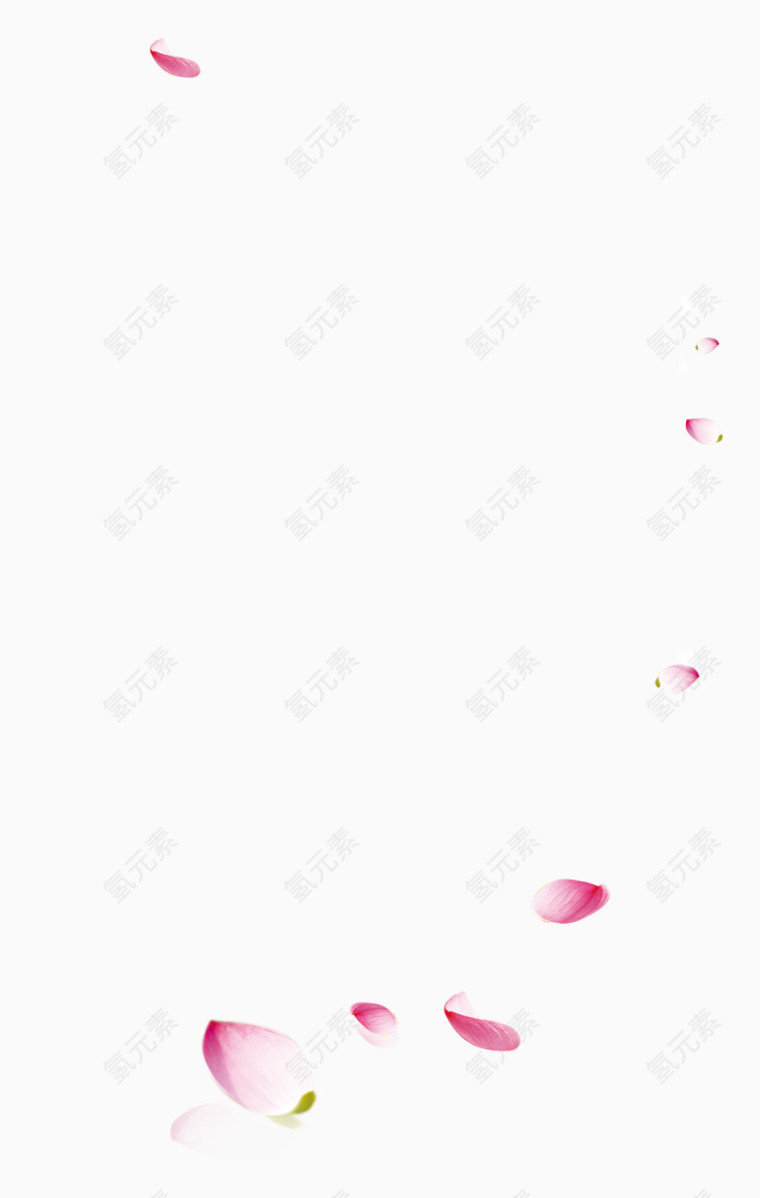 花瓣