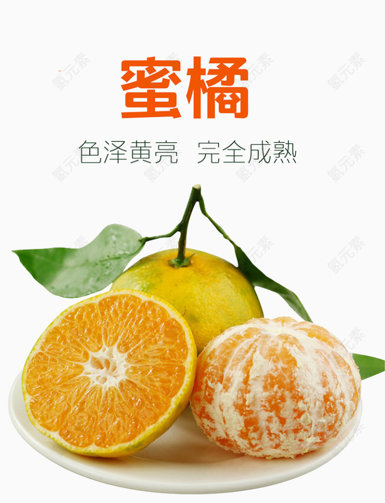 新鲜蜜桔