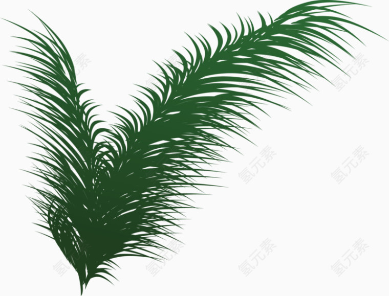 绿色椰叶