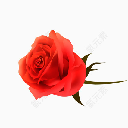 花卉