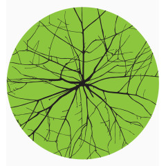 简约时尚树叶花纹