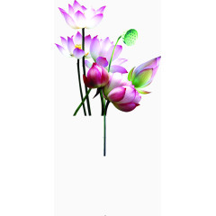 荷花水墨清廉展板模板