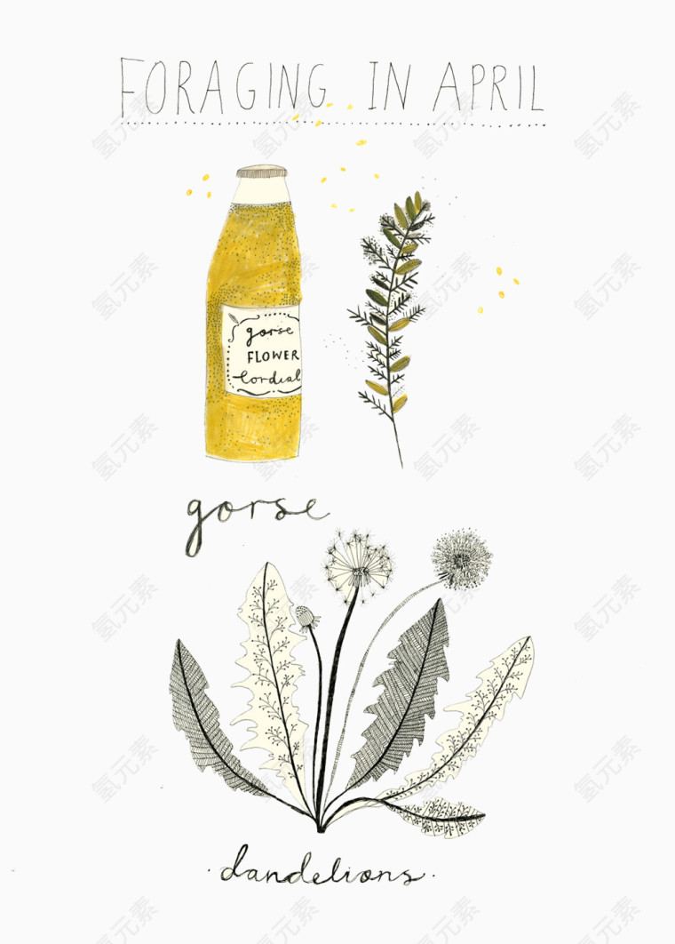 手绘植物瓶子封面