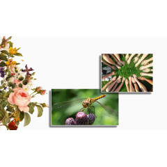 粉花配绿叶ppt背景