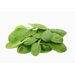 菠菜图片免扣素材
