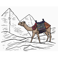 沙漠里的骆驼