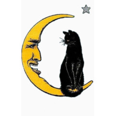 月亮与黑猫