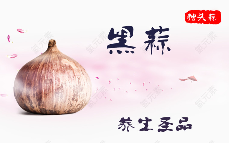 蒜头