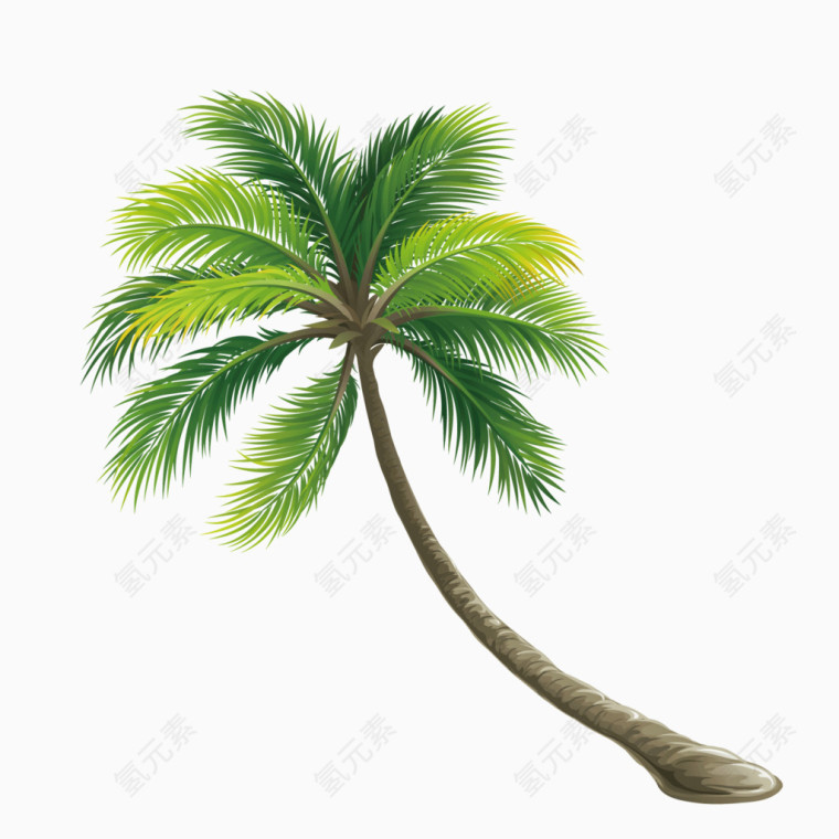矢量卡通热带芭蕉树