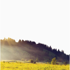 唯美山脉田野景色