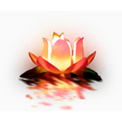 高清创意荷花灯光效