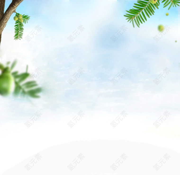 椰树天空底纹背景