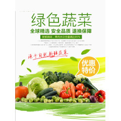 绿色蔬菜