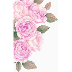 手绘紫色大花朵