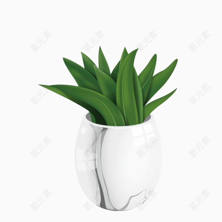 绿色植物办公室绿化