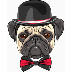 戴帽子的沙皮狗