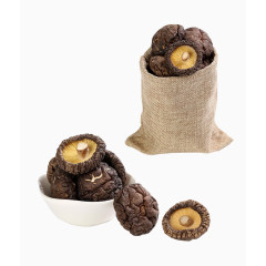 金钱菇特产干货免费下载