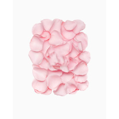 粉色玫瑰花