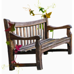 木制长椅和藤蔓