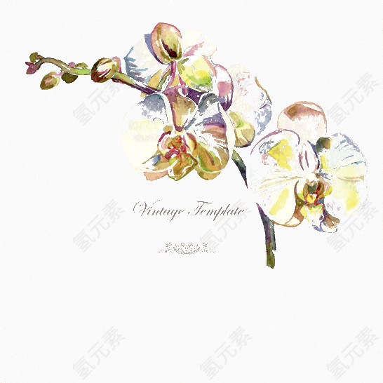 矢量手绘花卉边框