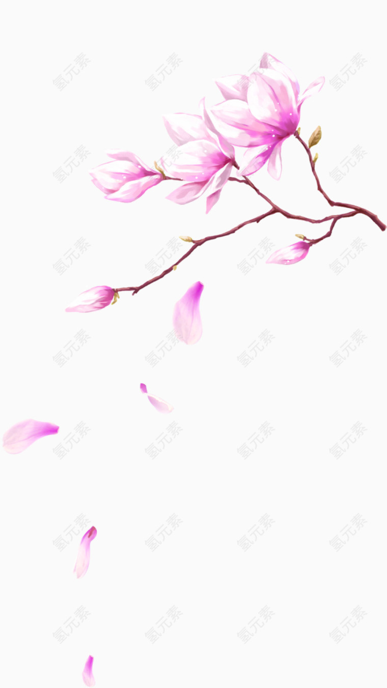 粉色中国风花枝装饰图案
