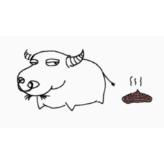 美丽的礼花鞭炮