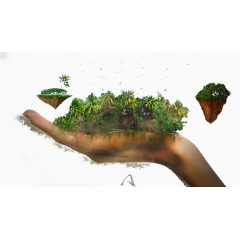 手心里的绿色森林