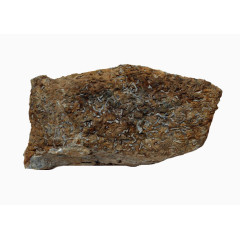 灰色微生物黄色化石