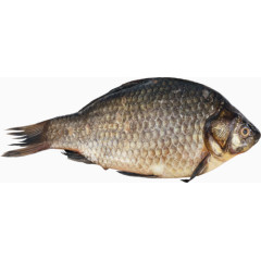 鱼鳞鲜鱼