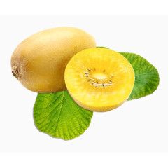 金黄色黄心猕猴桃