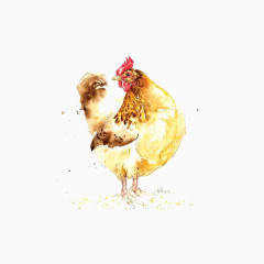 手绘母鸡
