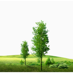 绿色植物背景素材