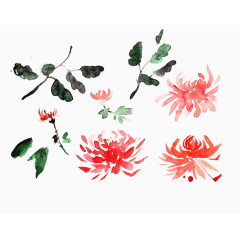 手绘墨菊图片素材